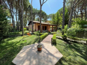 Beach Villa with a beautiful garden